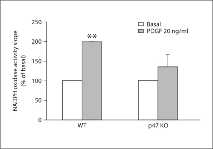 Fig. 10.