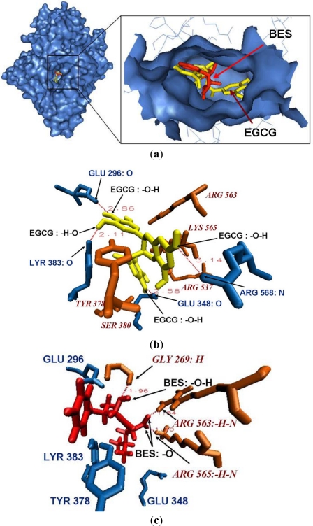 Figure 3.