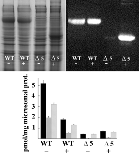 FIGURE 7.