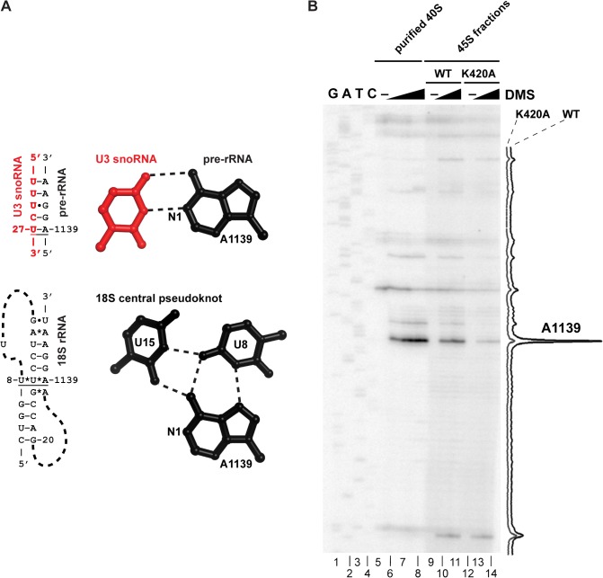 Fig 4