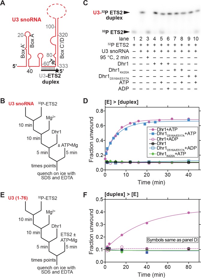 Fig 8