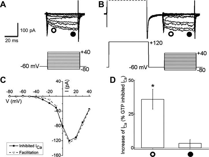 Fig. 10.