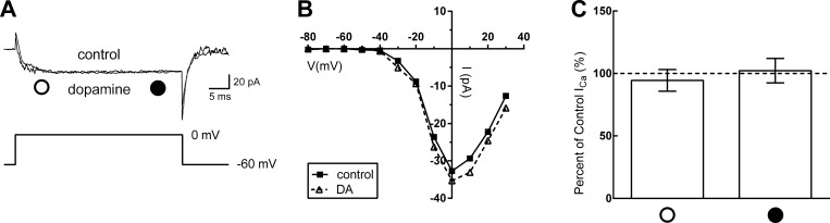 Fig. 8.