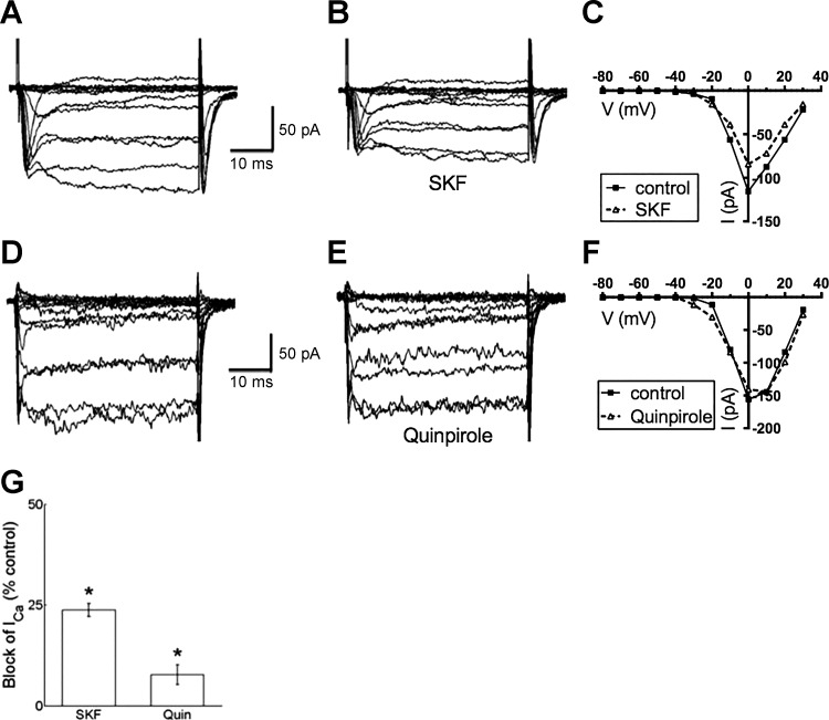 Fig. 5.