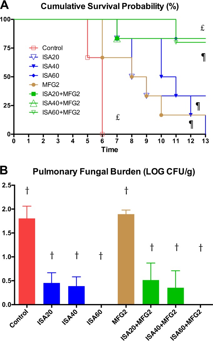 FIG 2