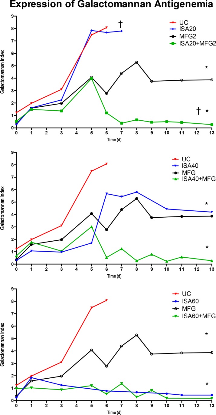 FIG 4