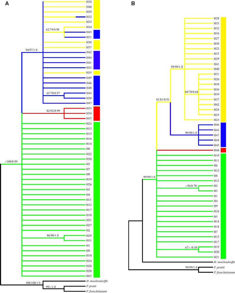 FIGURE 3