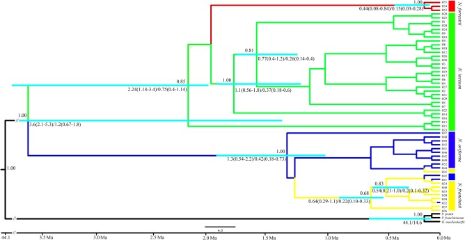 FIGURE 4