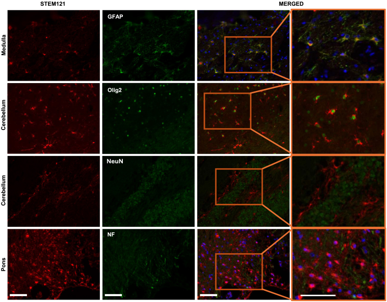 Figure 4