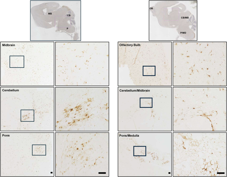 Figure 3