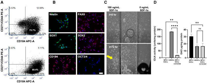 Figure 1