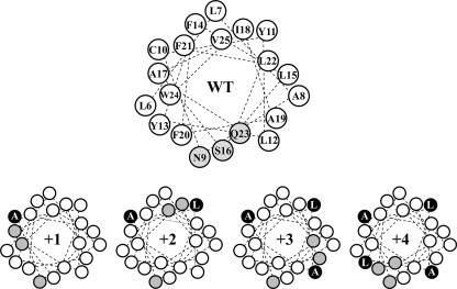 FIG. 2.