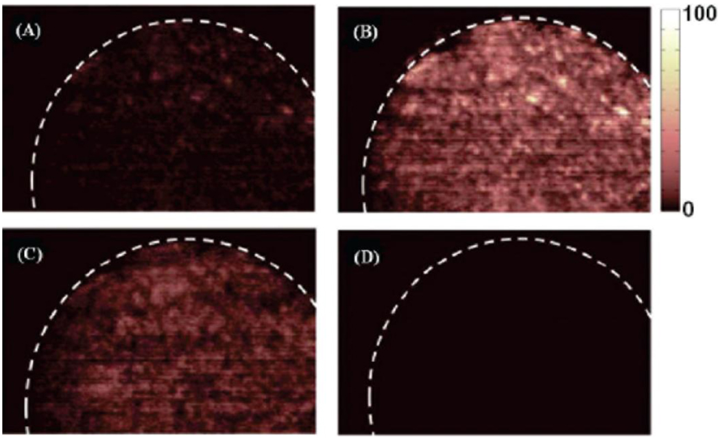 Figure 6