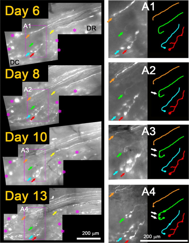 Figure 5.