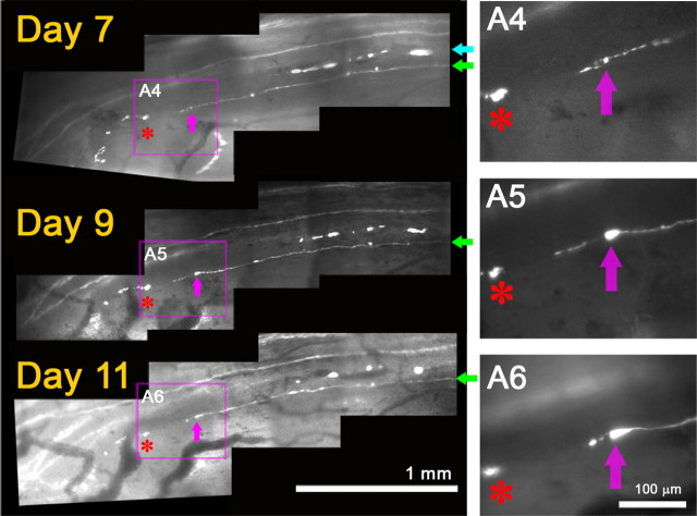 Figure 6.