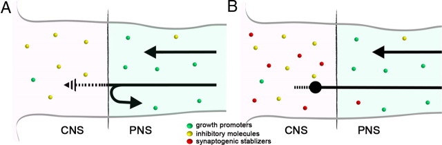 Figure 12.