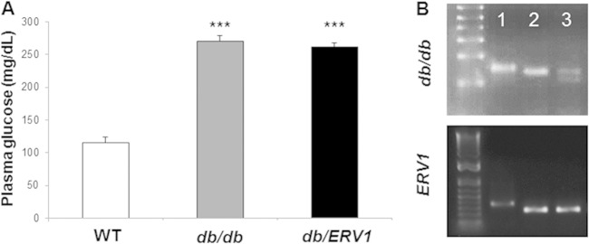 FIG 1