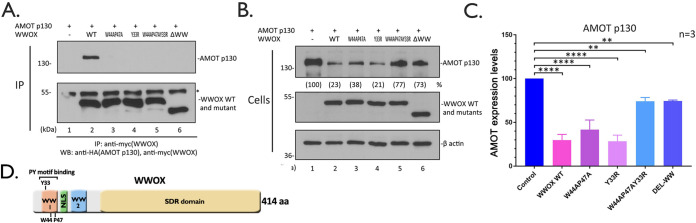 FIG 3