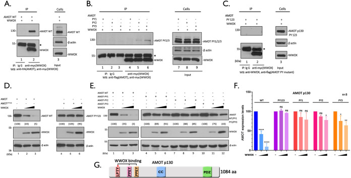 FIG 2