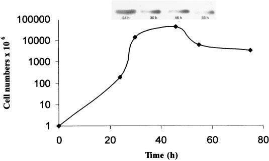 FIG. 7