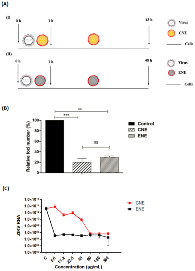 Fig 5