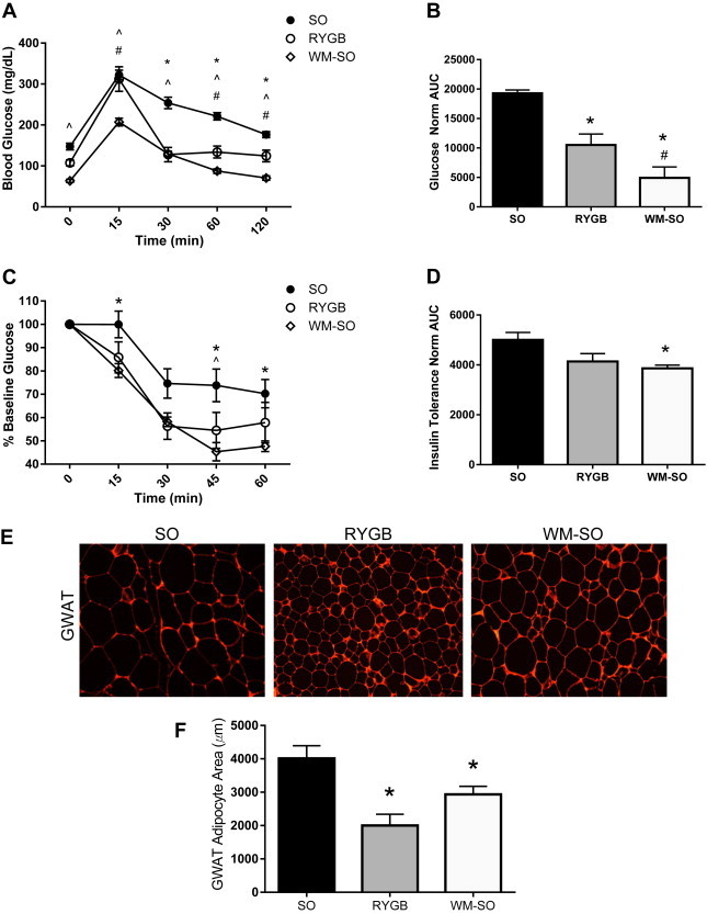 Figure 2