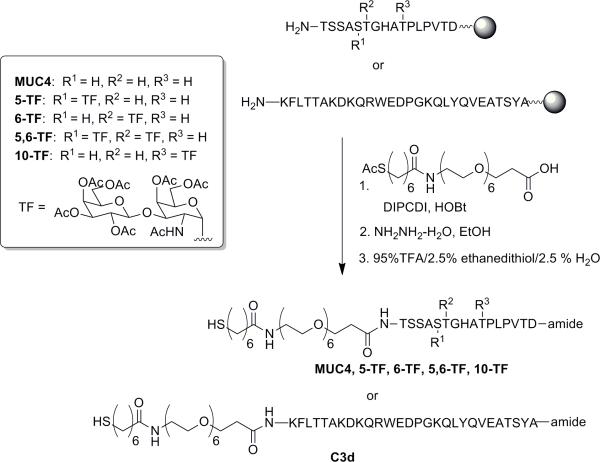 Scheme 2