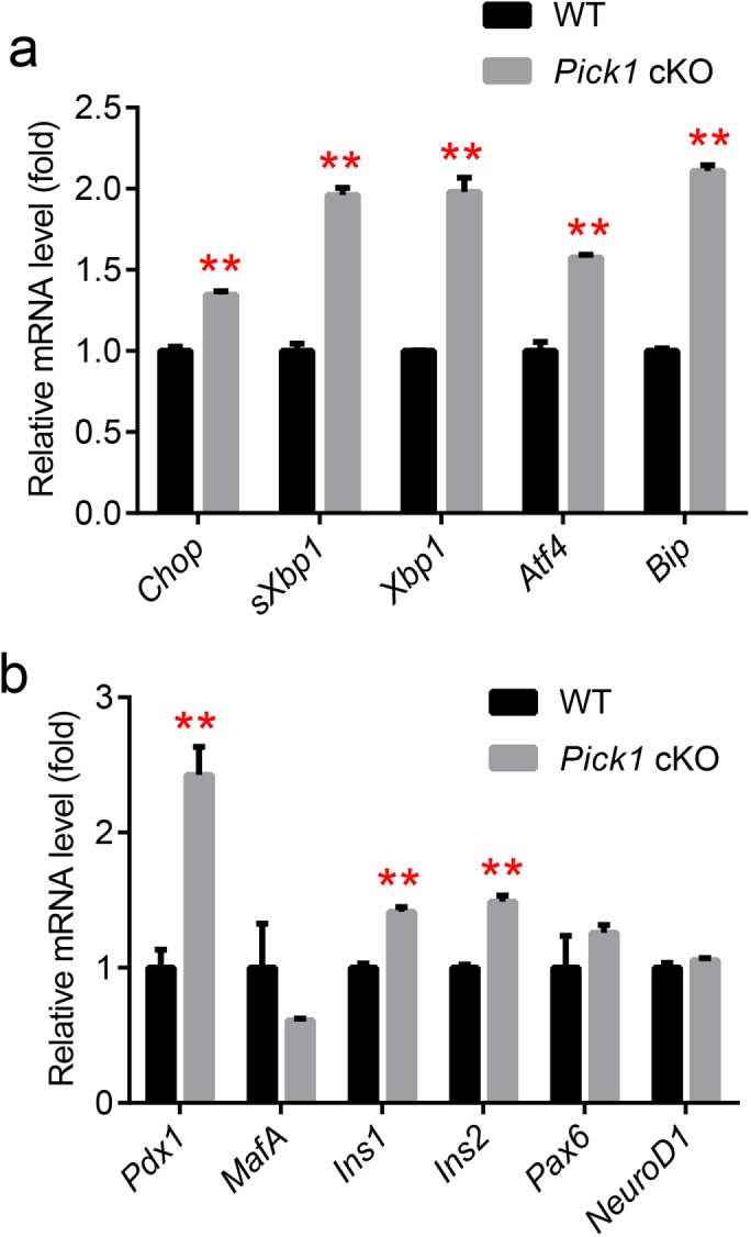 FIGURE 6: