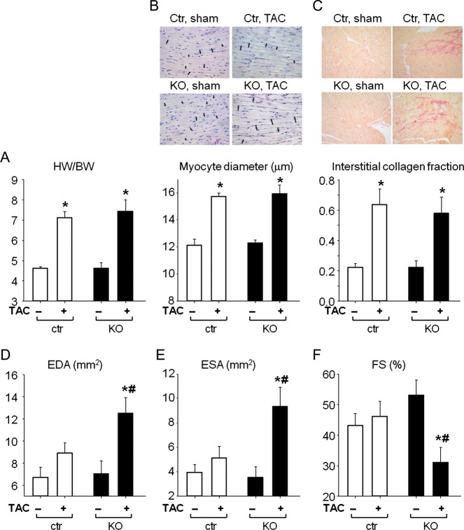 Figure 6