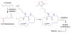 Scheme 4