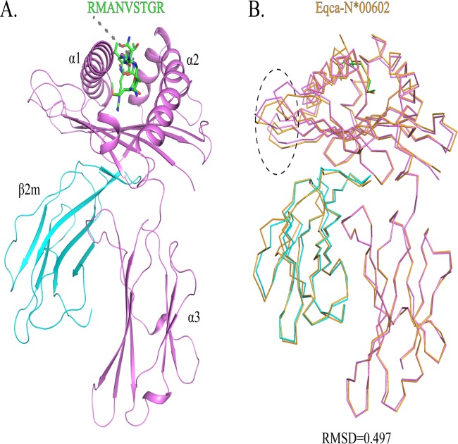 FIG 1