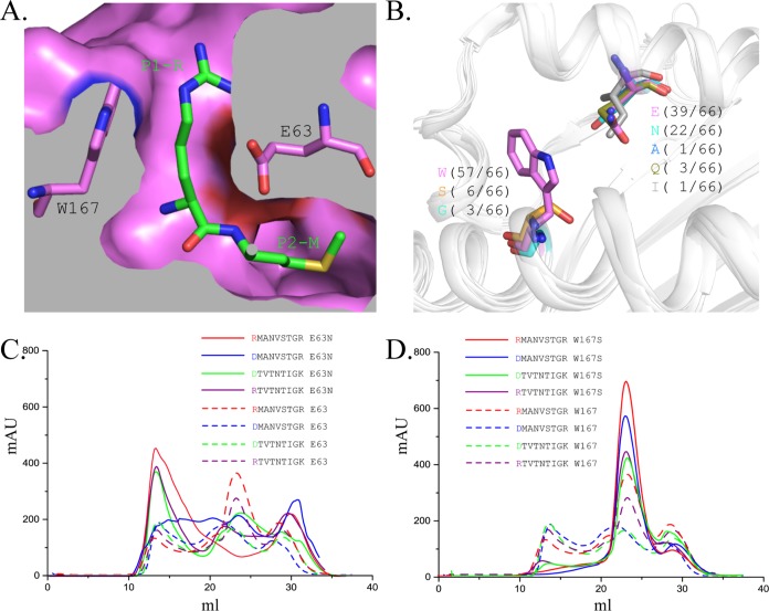 FIG 6