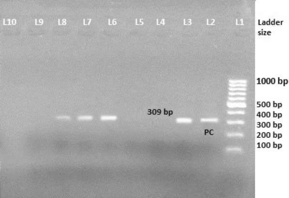 Fig. 3