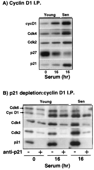 FIG. 5