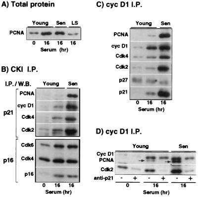 FIG. 6