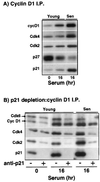 FIG. 5