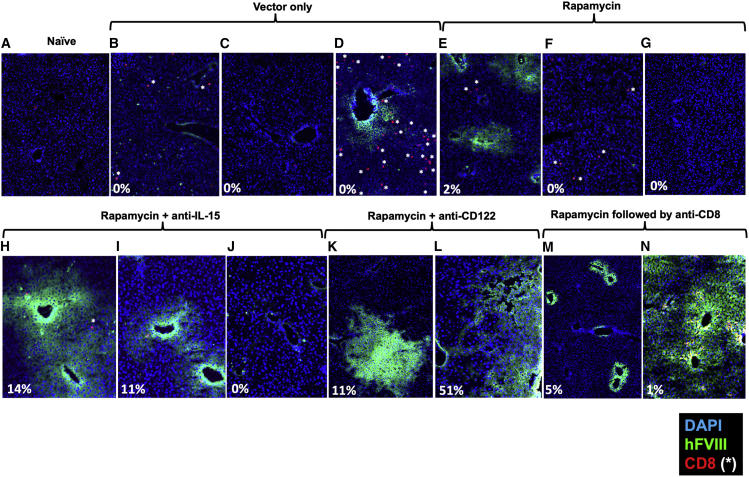 Figure 5