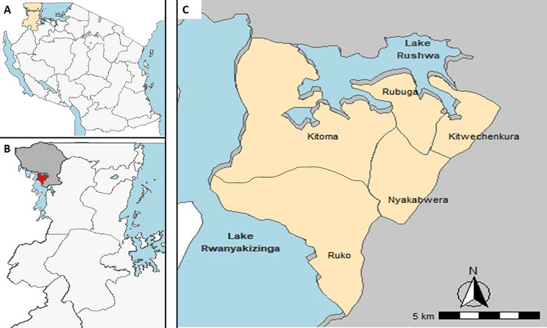 Fig. 1