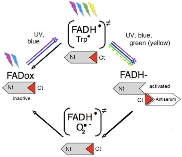 Figure 10