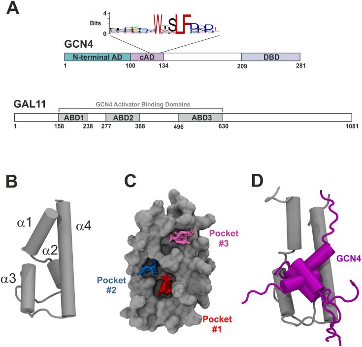 Fig 2