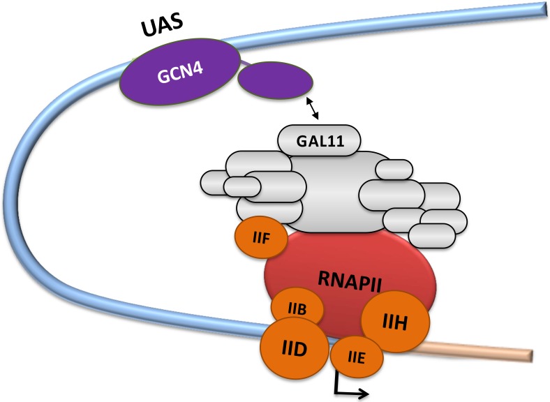 Fig 1