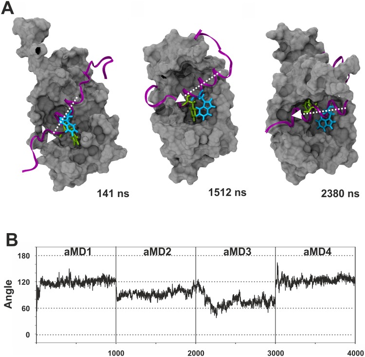 Fig 11