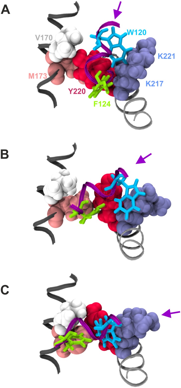 Fig 7