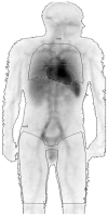 Fig. (1)