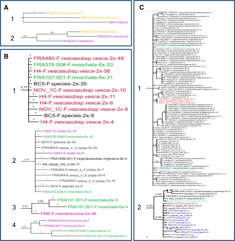 Fig. 2.