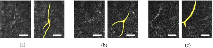 Fig. 7.