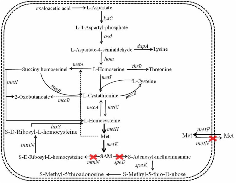 FIGURE 2