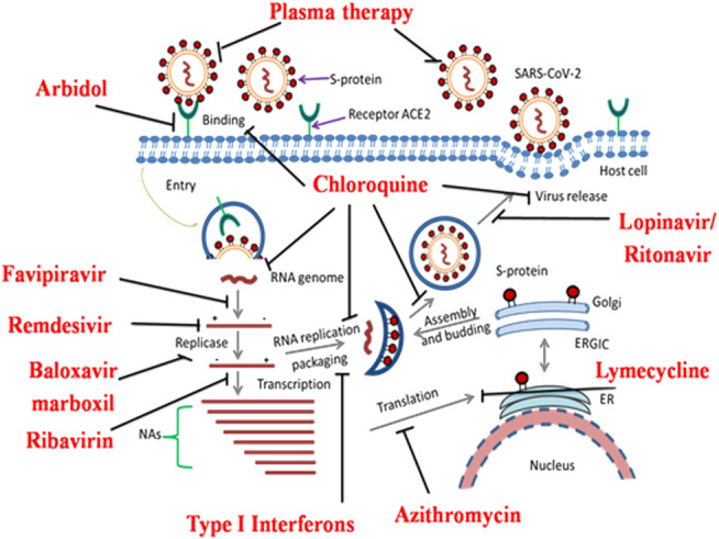 FIGURE 2