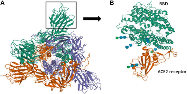 FIGURE 3