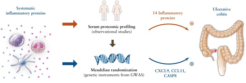 Graphical Abstract